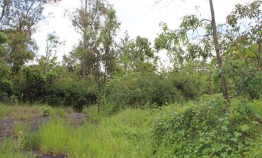 Lote (S) de Terreno en Venta en Bosques de Las Lomas con Gran Ubicación.