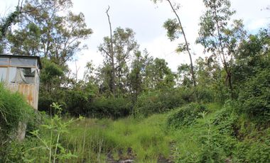 Lote (S) de Terreno en Venta en Bosques de Las Lomas con Gran Ubicación.