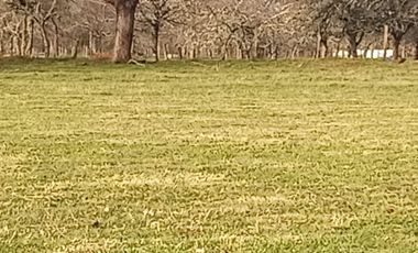 Se vende parcela en sector Linguento, entrada norte de Valdivia