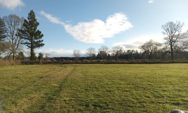Se vende parcela en sector Linguento, entrada norte de Valdivia