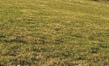 Se vende parcela en sector Linguento, entrada norte de Valdivia