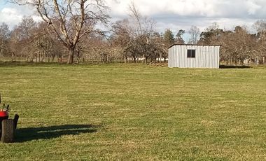 Se vende parcela en sector Linguento, entrada norte de Valdivia