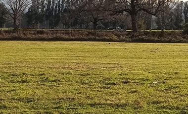 Se vende parcela en sector Linguento, entrada norte de Valdivia