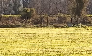 Se vende parcela en sector Linguento, entrada norte de Valdivia