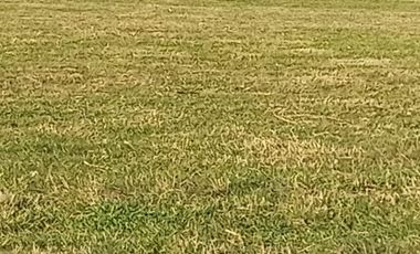 Se vende parcela en sector Linguento, entrada norte de Valdivia