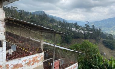 CASA LOTE