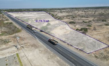 En venta 8.7 Hectáreas - Panamericana Norte Km. 816 (Mórrope)