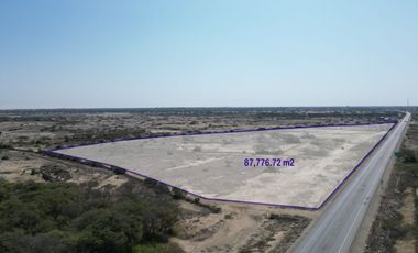 En venta 8.7 Hectáreas - Panamericana Norte Km. 816 (Mórrope)
