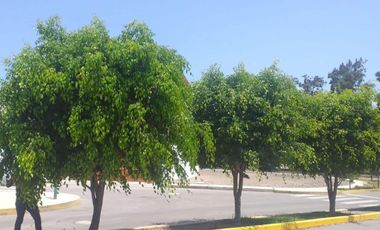 Vive en el Campo Disfrutando del Mar!!! En venta terreno en el Condominio el Polo