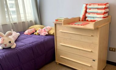 Hermosa vista y moderno Departamento en San Miguel, 2 Dormitorios 2 Baños y Estacionamiento