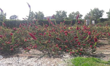 Venta de terreno en Condominio Alto Pradera Km 100 al Sur