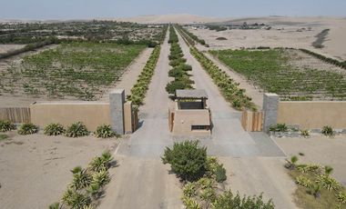 VENTA TERRENO EN ACCA PARACAS – PISCO – HERMOSO CONDOMINIO