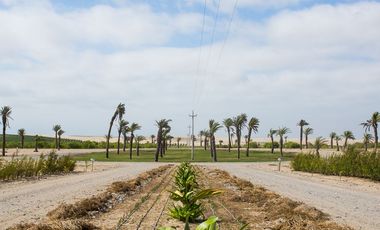 VENTA TERRENO EN ACCA PARACAS – PISCO – HERMOSO CONDOMINIO
