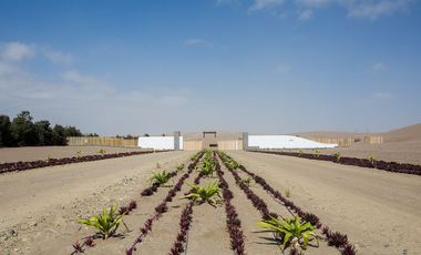 VENTA TERRENO EN ACCA PARACAS – PISCO – HERMOSO CONDOMINIO