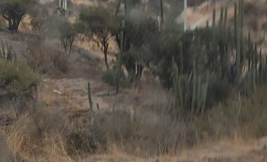 VENDE PARCELA EN SECTOR TAYEN DE COINCO RANCAGUA