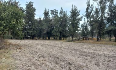 TERRENOS EN VENTA, COL. LAS LIEBRES, TLAQUEPAQUE, JAL.