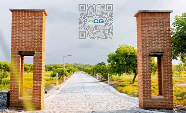 Lotes en VENTA Ubicados en Riachuelos, la zona mas exclusiva de Costa esmeralda, Municipio de Tecolutla, Ver.