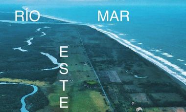 Lotes en VENTA Ubicados en Riachuelos, la zona mas exclusiva de Costa esmeralda, Municipio de Tecolutla, Ver.