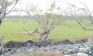 Lotes en VENTA Ubicados en Riachuelos, la zona mas exclusiva de Costa esmeralda, Municipio de Tecolutla, Ver.