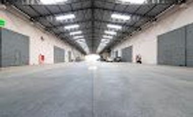 Bodega alquilo