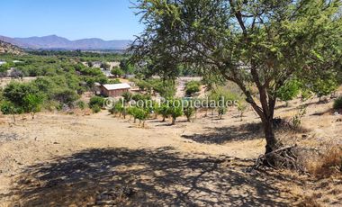Leon Propiedades vende parcela de 2 Ha. con 2 casas en fundo Alhué, Curacaví.