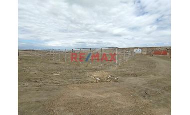 Se Vende Terreno De 300M2 En Calle Las Gardenias Lado Norte- La Esmeralda De Colan // ID: 1129366