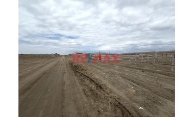 Se Vende Terreno De 300M2 En Calle Las Gardenias Lado Norte- La Esmeralda De Colan // ID: 1129366