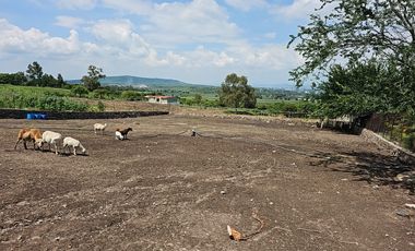Rancho en Venta en Ixtlahuacán de Los Membrillos, Jalisco