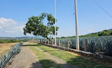 Rancho en Venta en Ixtlahuacán de Los Membrillos, Jalisco