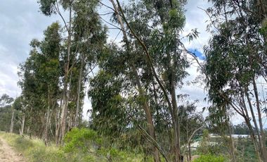 En Venta Terreno en Tabacundo
