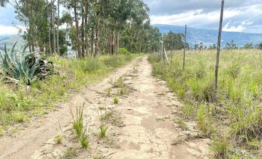 En Venta Terreno en Tabacundo