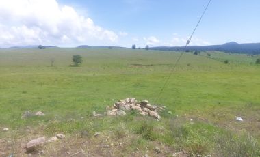 Terreno en venta Tapalpa