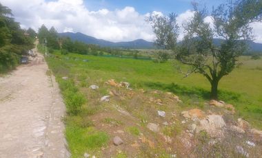 Terreno en venta Tapalpa
