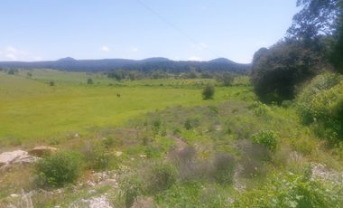 Terreno en venta Tapalpa