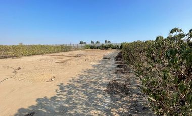 TERRENO EN CONDOMINIO EN PISCO