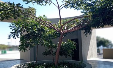 SE VENDE TERRENO EN ESQUINA EN COTO LISTER ZIMALTA