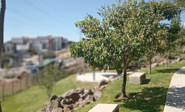 SE VENDE TERRENO EN ESQUINA EN COTO LISTER ZIMALTA
