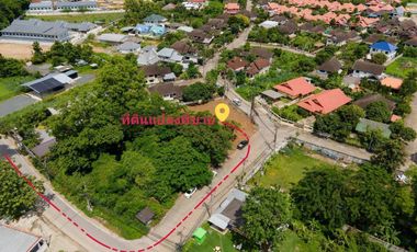 Land for Sale – Prime Location in San Kamphaeng, Chiang Mai