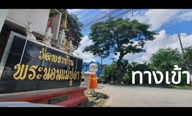 Land for Sale – Prime Location in San Kamphaeng, Chiang Mai