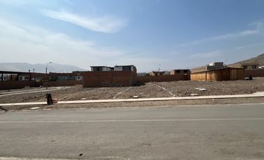 VENDO 02 LOTES DE TERRENOS JUNTOS DE 90M2 CADA UNO $66,000 EN URB. LA ALAMEDA LIMA NORTE ETAPA II - SANTA ROSA