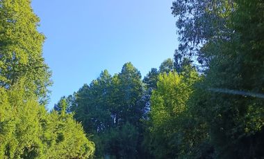 Venta Parcela en Riñible, a orillas del Lago Ranco