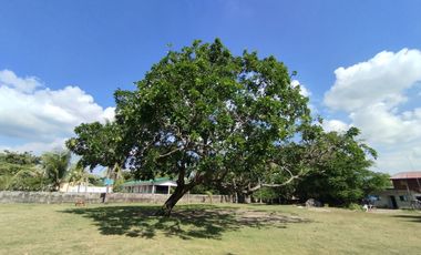 FOR SALE - BEACH HOUSE AT ADAM'S CALATAGAN BEACH CAMP