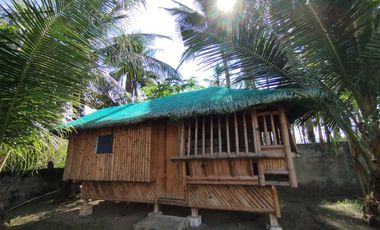 FOR SALE - BEACH HOUSE AT ADAM'S CALATAGAN BEACH CAMP