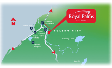 Royal Palm Toledo