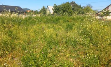 Se vende terreno 2.500 m2 frente a Balnerario Lago Colbun Machicura