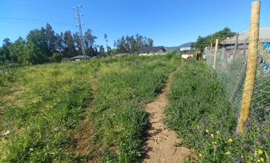 Se vende terreno 2.500 m2 frente a Balnerario Lago Colbun Machicura