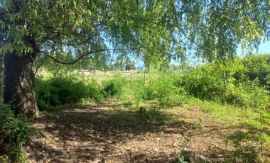 Se vende terreno 2.500 m2 frente a Balnerario Lago Colbun Machicura
