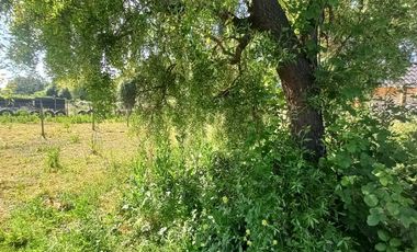 Se vende terreno 2.500 m2 frente a Balnerario Lago Colbun Machicura