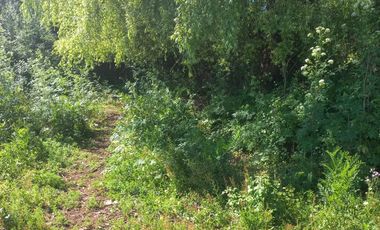 Se vende terreno 2.500 m2 frente a Balnerario Lago Colbun Machicura