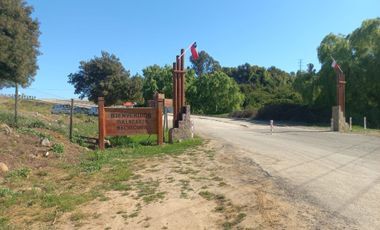 Se vende terreno 2.500 m2 frente a Balnerario Lago Colbun Machicura